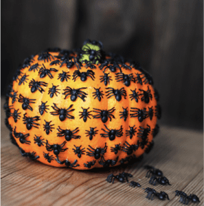 No-Carve Pumpkin: Spider Nest example